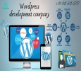 Wordpress development company